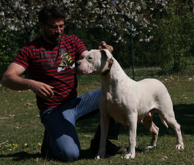 Armanie de los Hijos de la Luna
